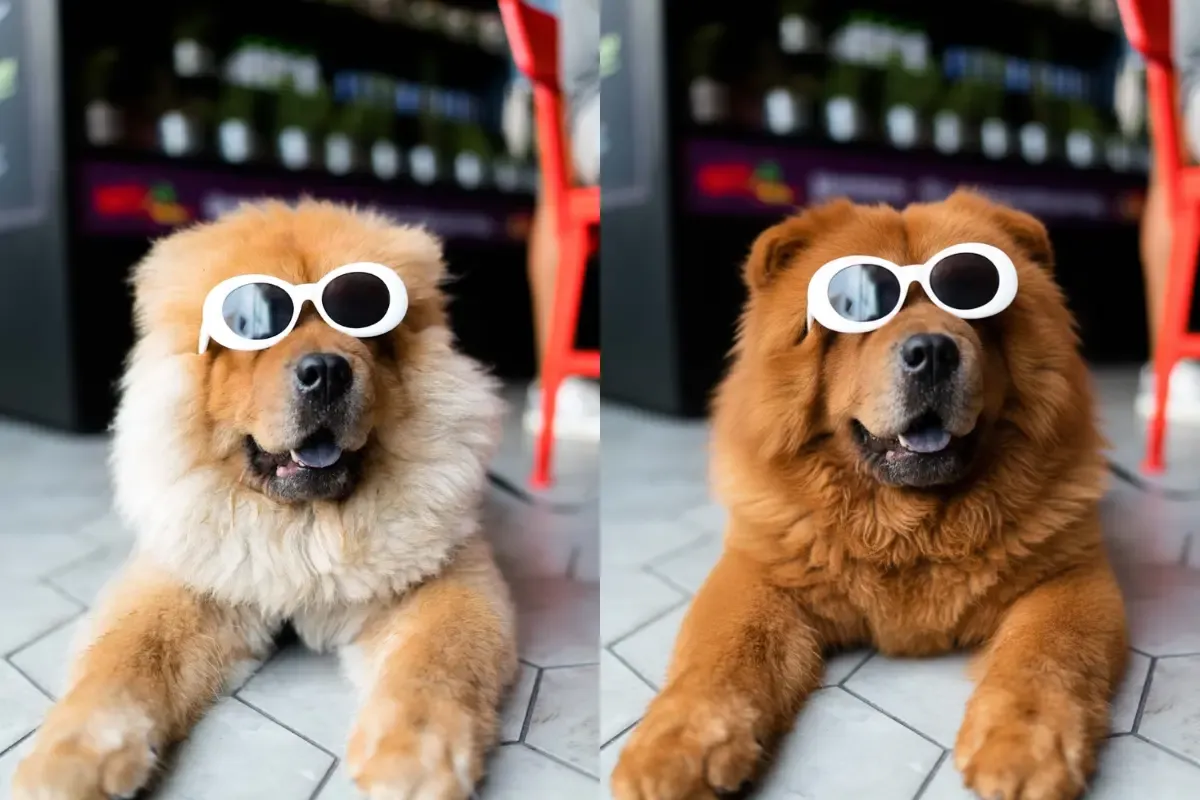 change color of image