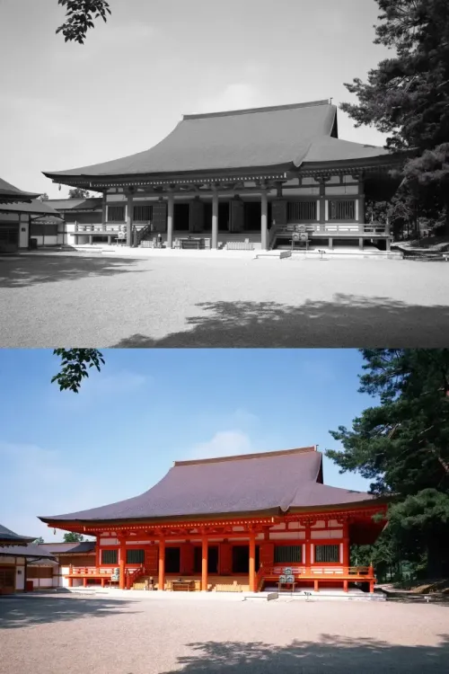 colorize black and white photo