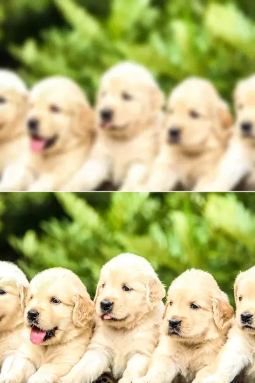 photo-enhancer