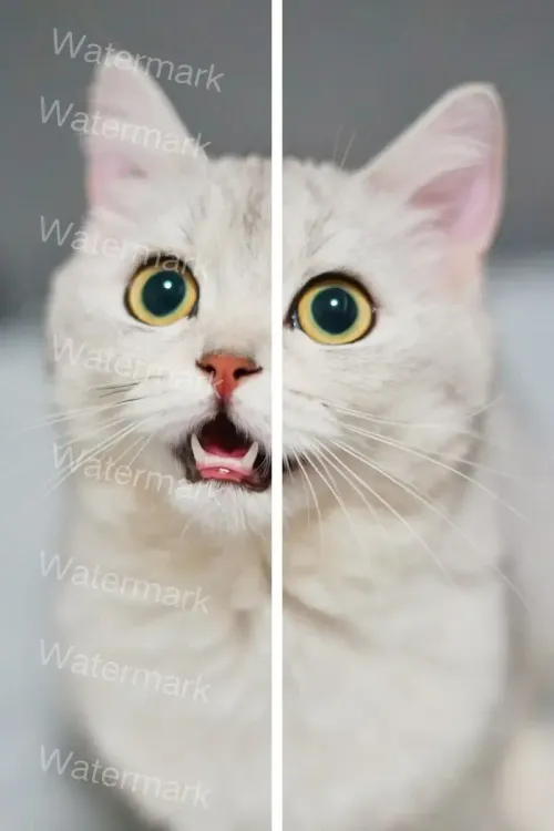 remove watermark
