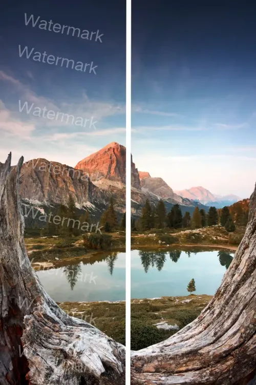 remove watermark