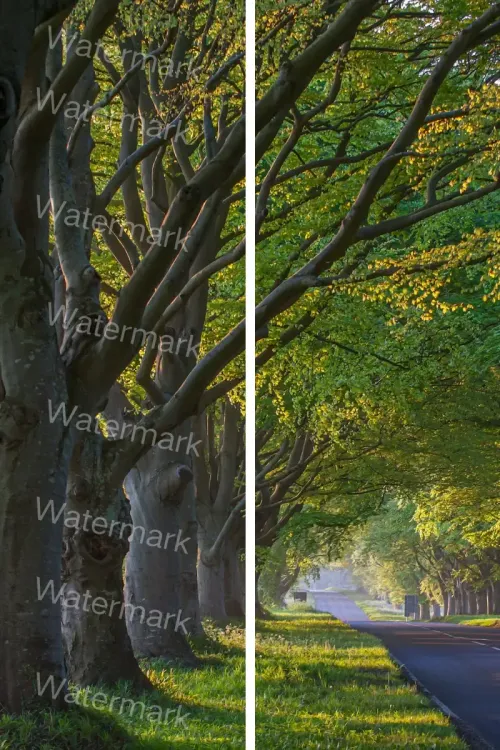 remove watermark