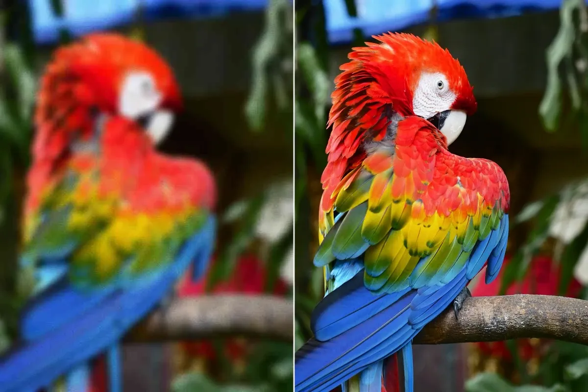 photo-enhancer