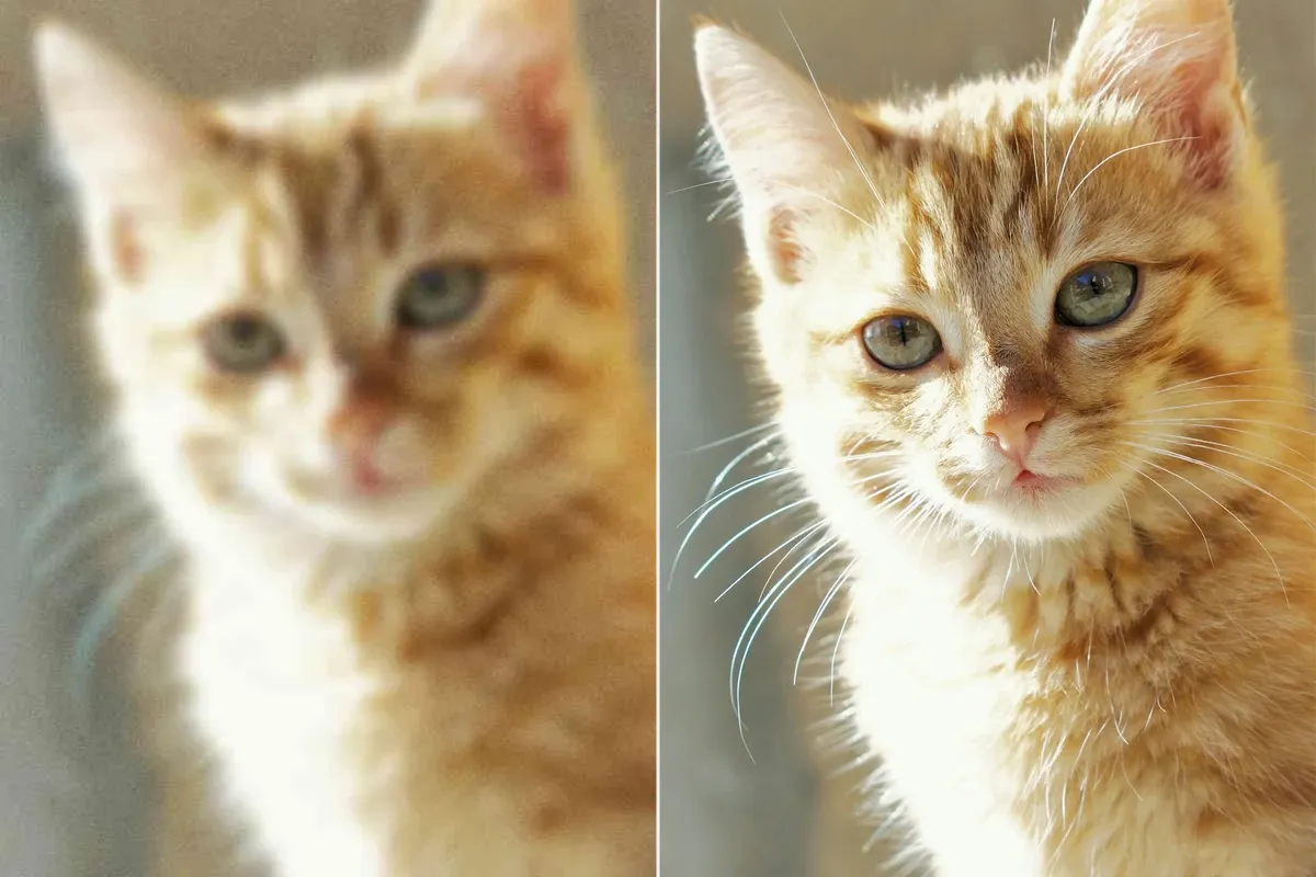photo-enhancer